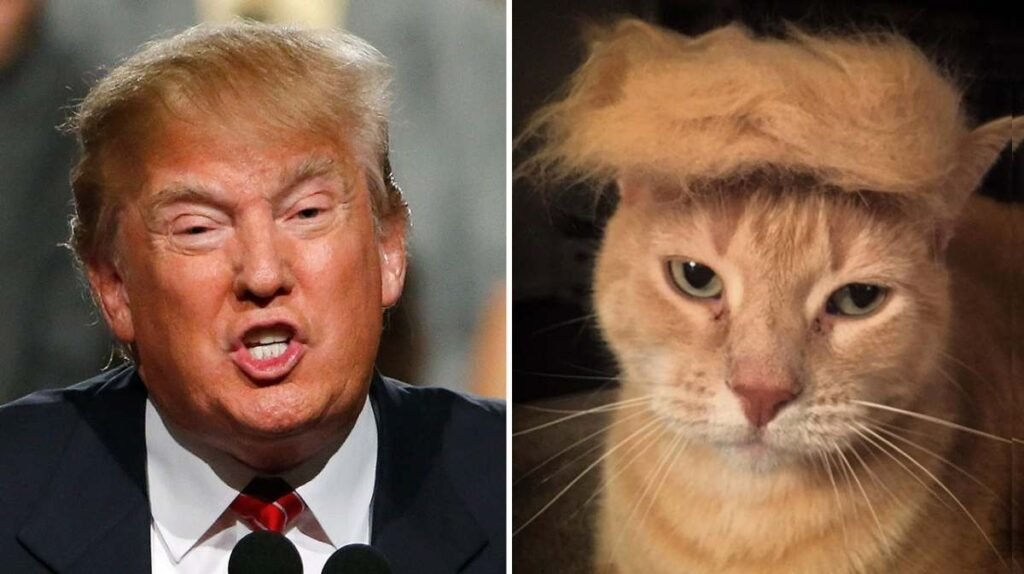 Donald Trump Business Jokes - Donald Trump Jokes